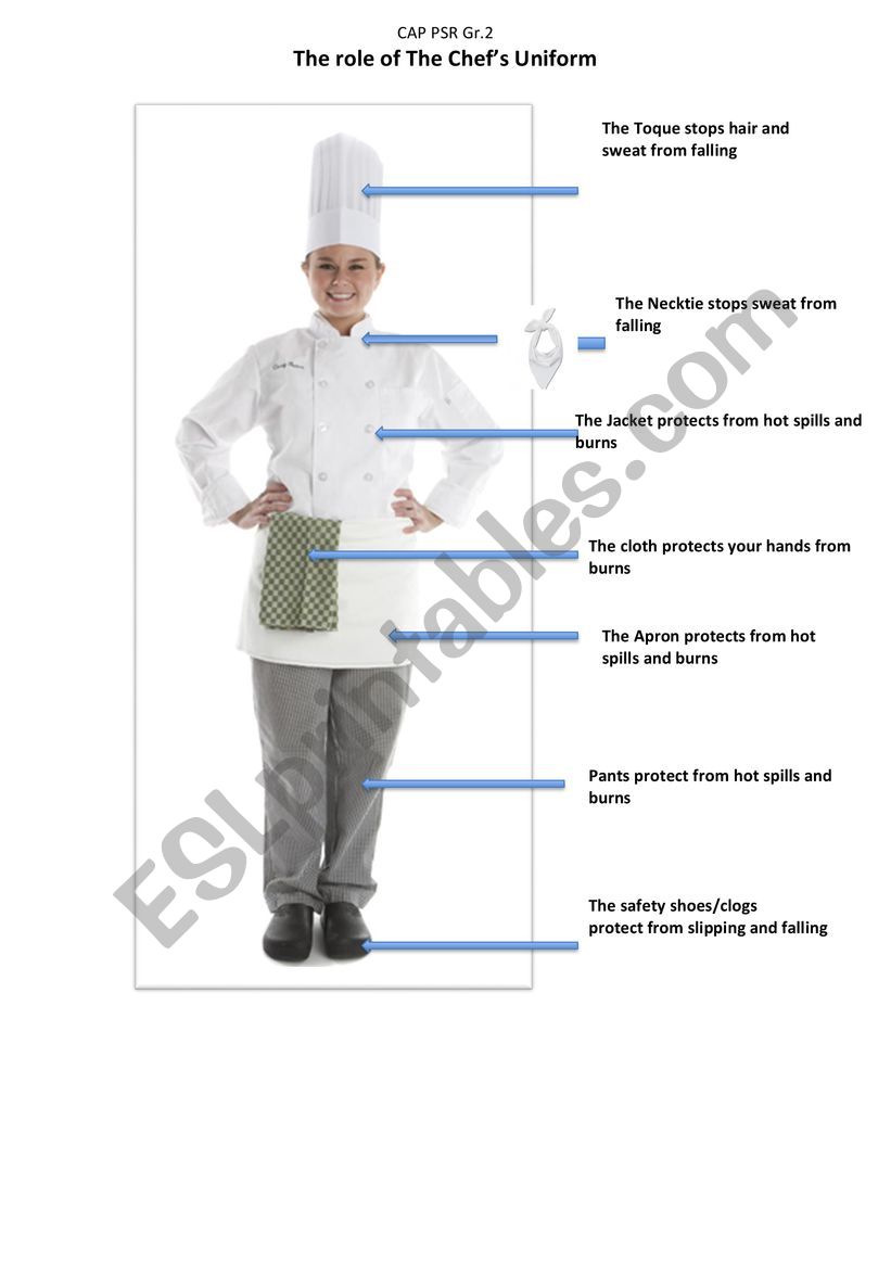The Role of the Chef s Uniform Part 1