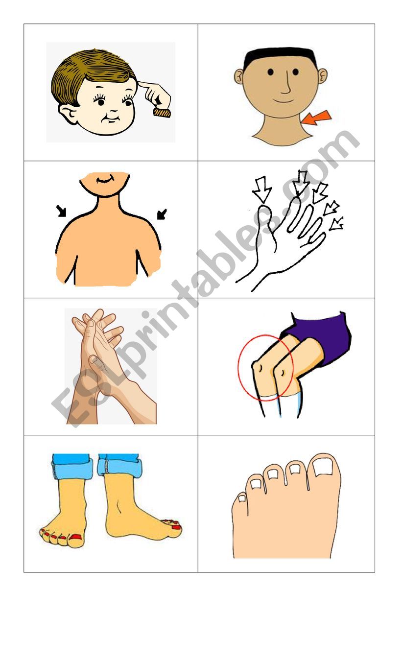 body parts flashcards worksheet