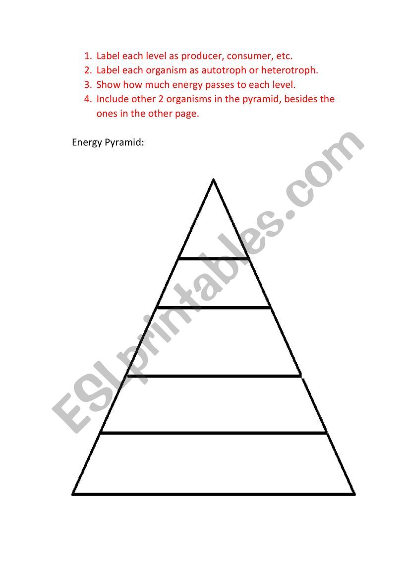 energy flow in our ecosystem - ESL worksheet by oscarito21 With Regard To Energy Flow In Ecosystems Worksheet