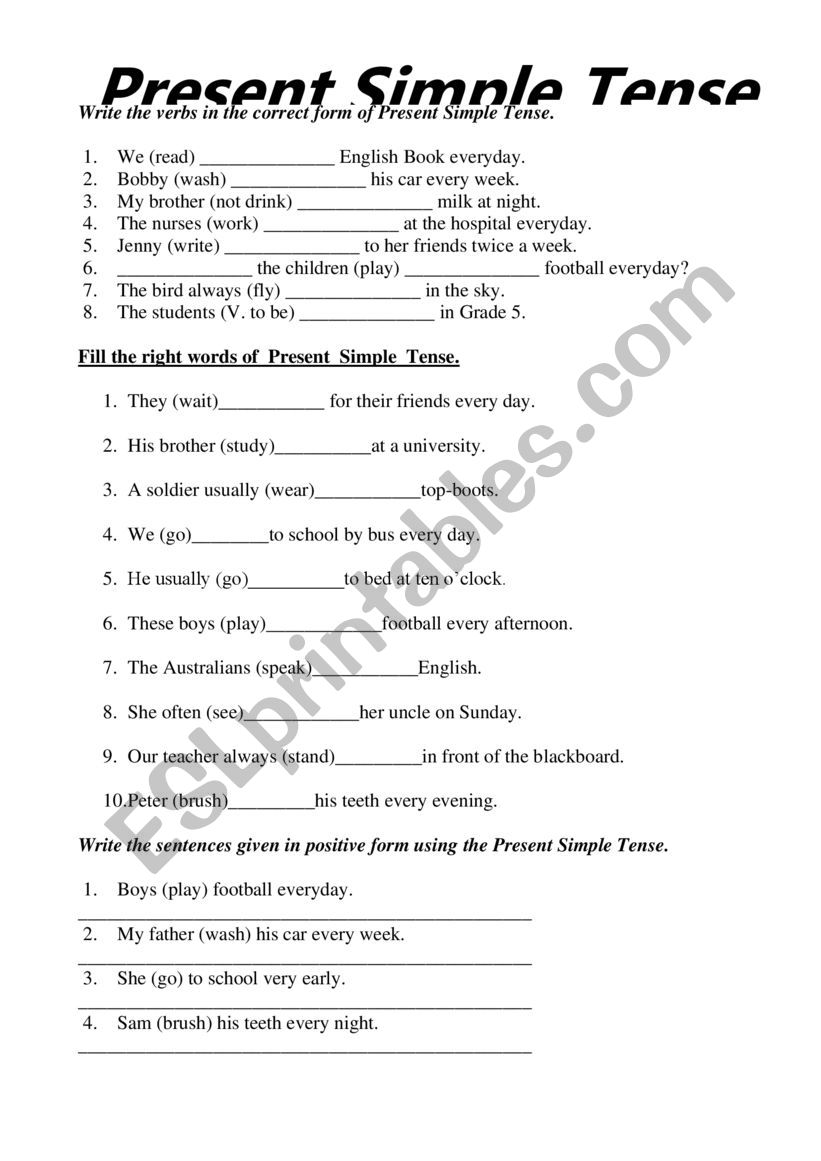 Present Simple Tense worksheet