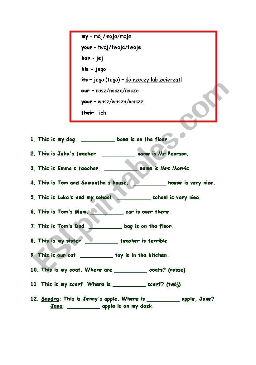 Possessive pronouns worksheet