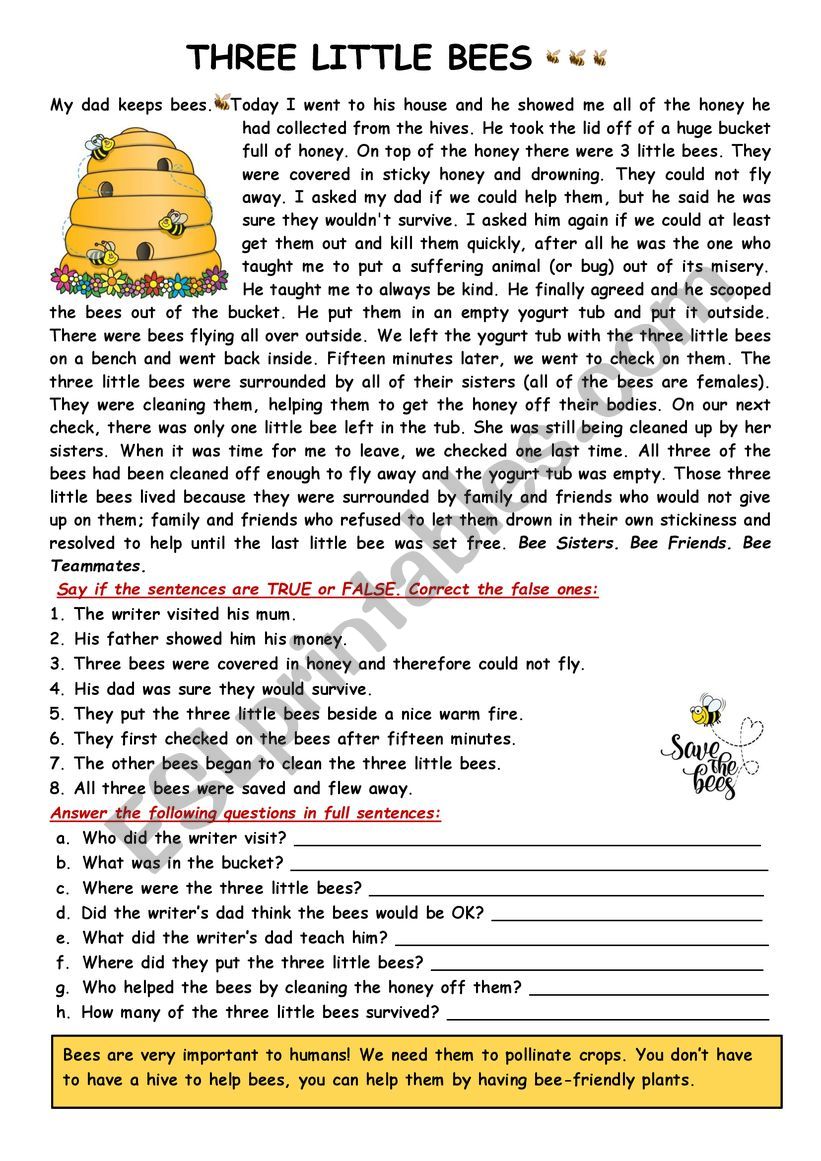 RC: Three little bees worksheet