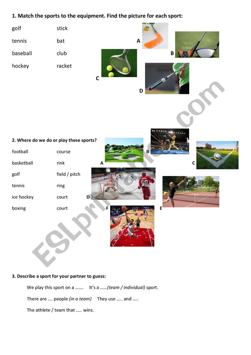Sports vocabulary worksheet