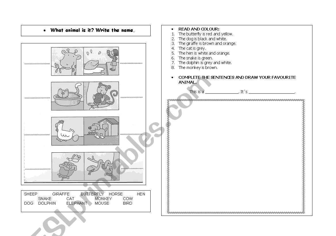 Animals worksheet