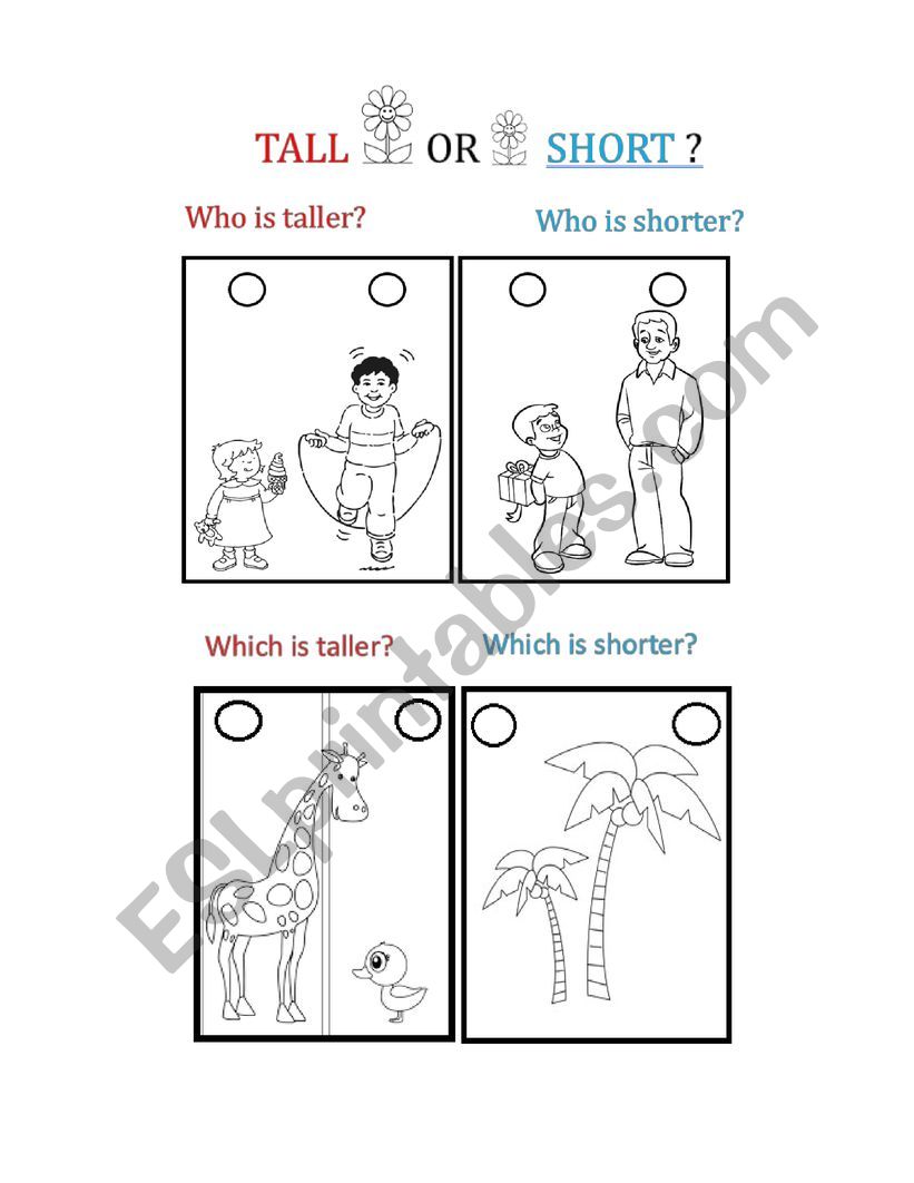 Tall-short-big-small worksheet