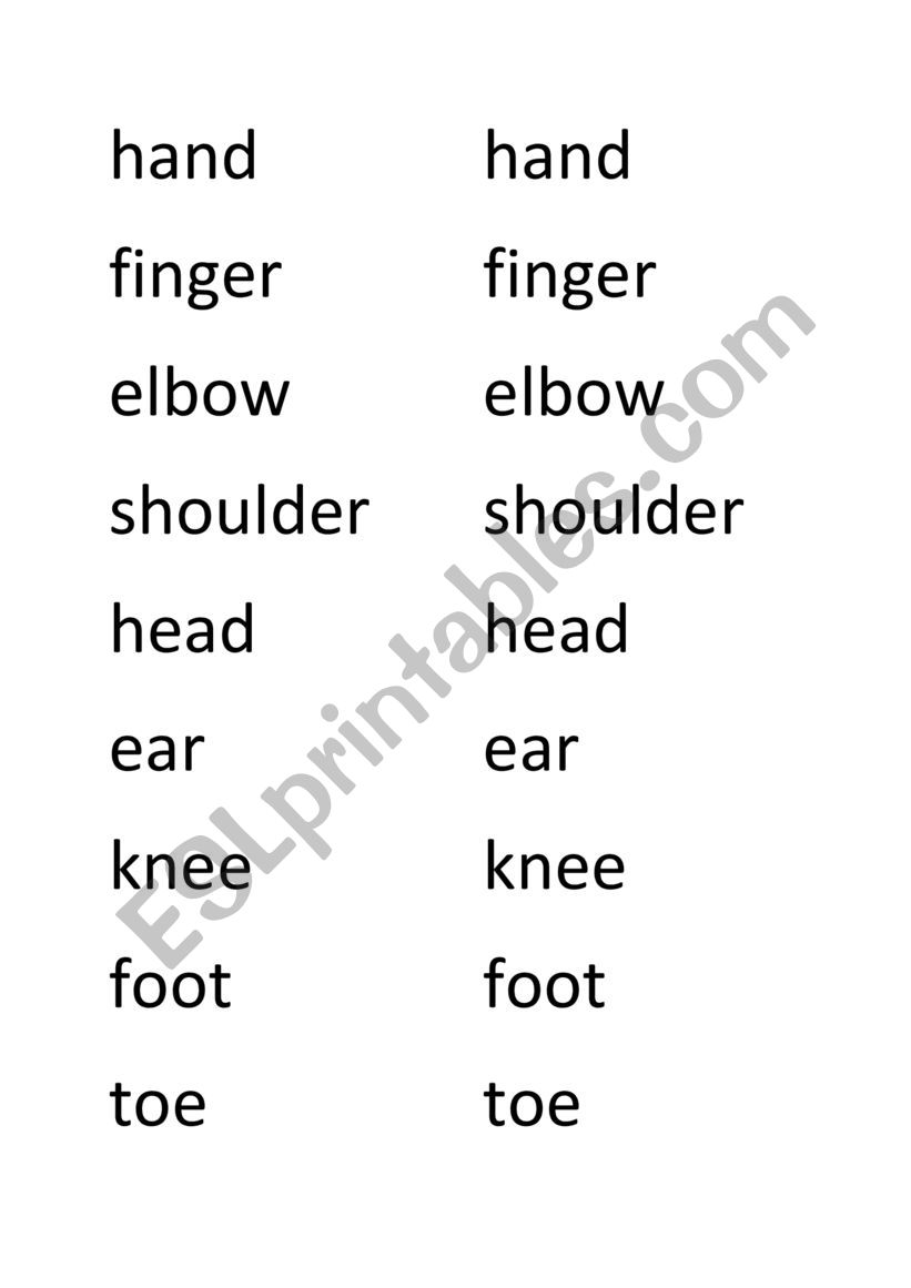 Body parts worksheet