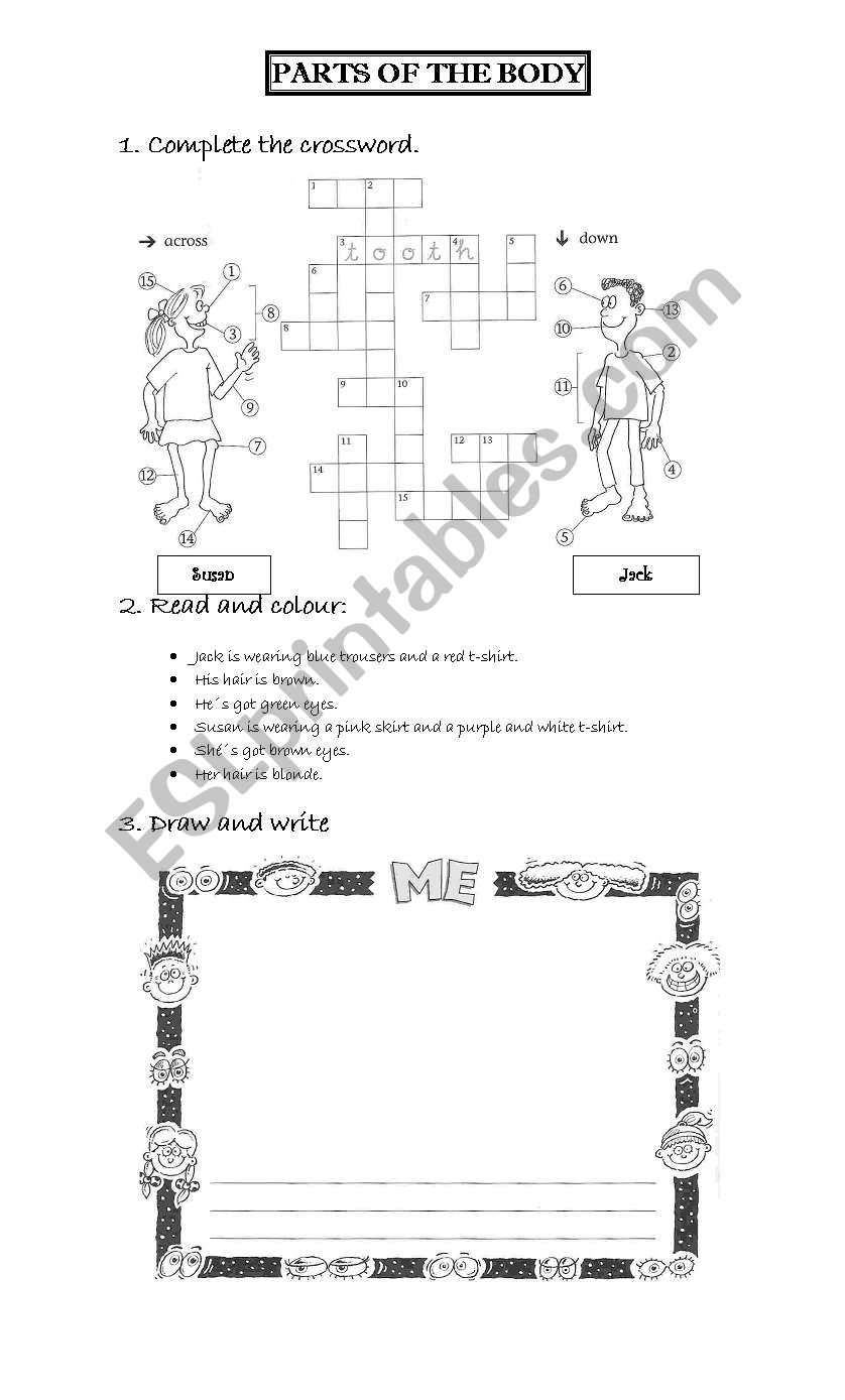 Parts of the body worksheet