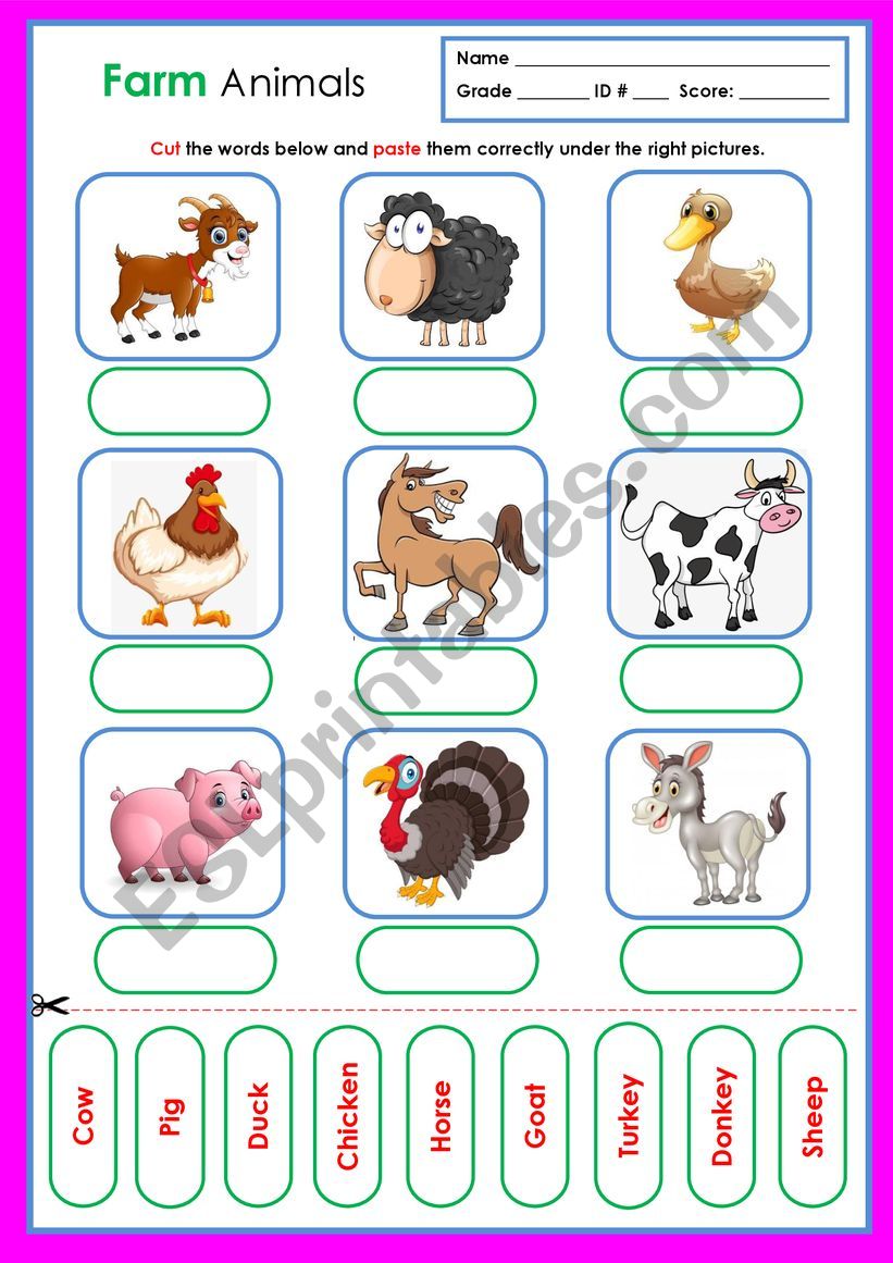 Farm Animals worksheet