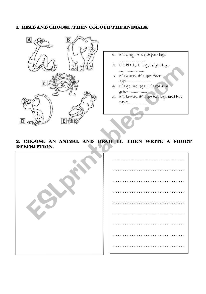 ANIMALS AND BODY PARTS worksheet