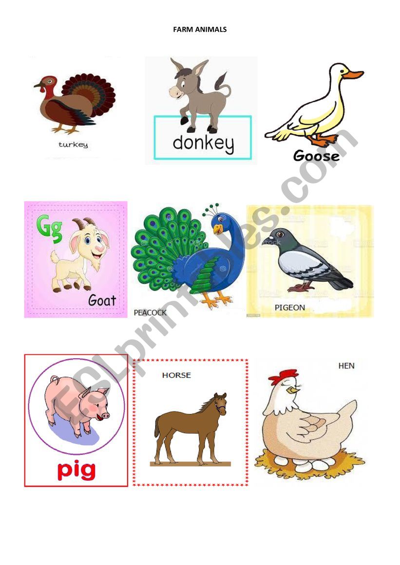 farm animals worksheet