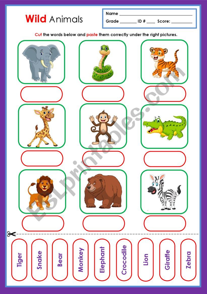 Wild Animals worksheet