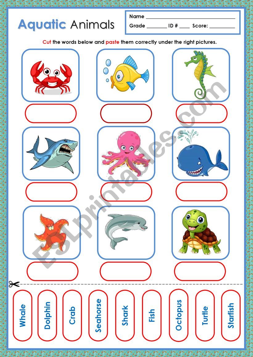 Aquatic Animals worksheet