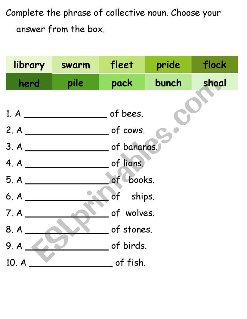 collective noun worksheet