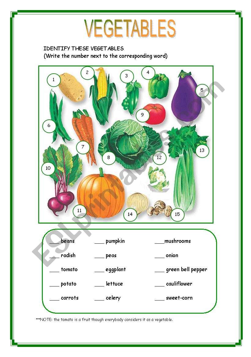 VEGETABLES worksheet