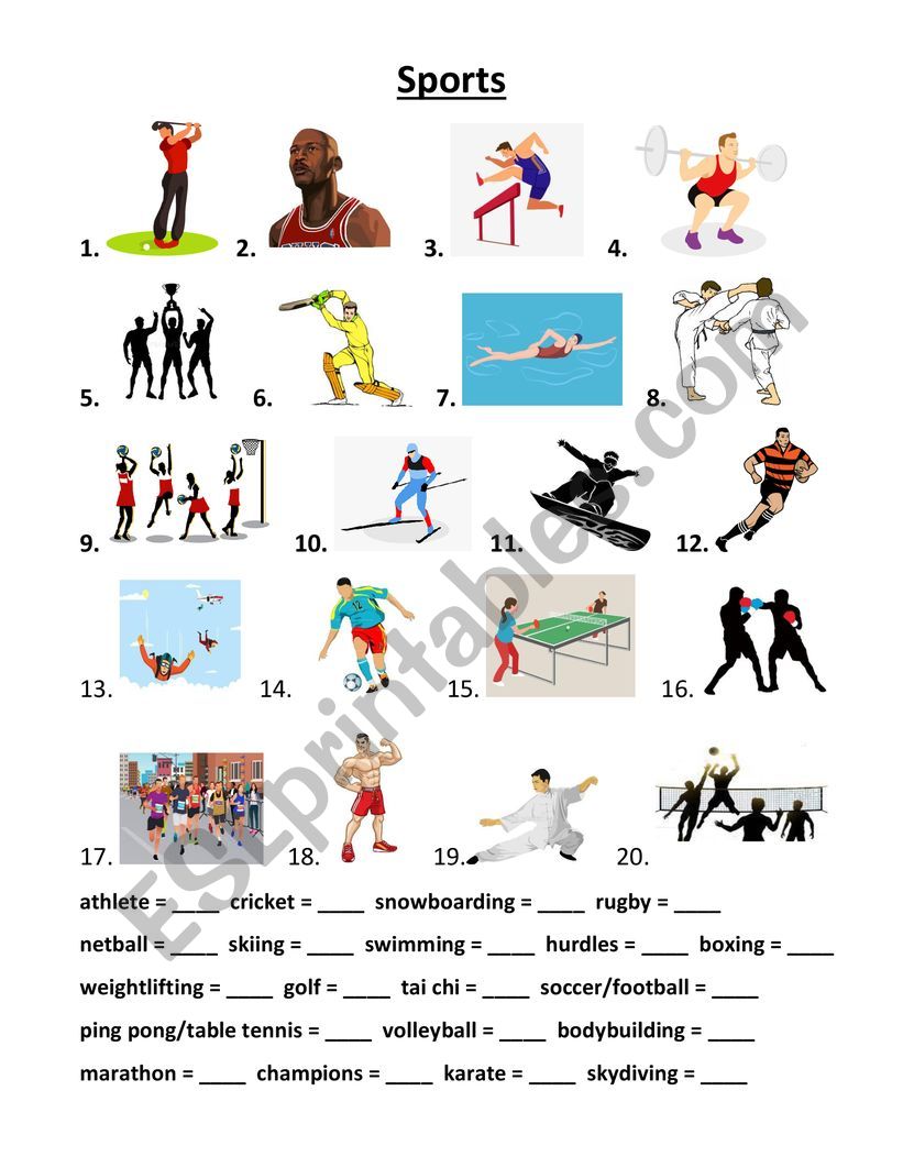 Sports worksheet