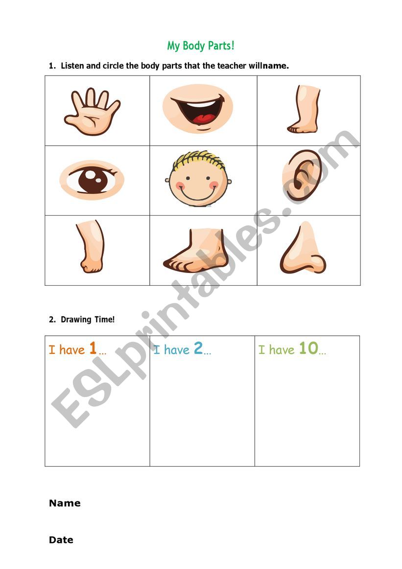 Body Parts worksheet