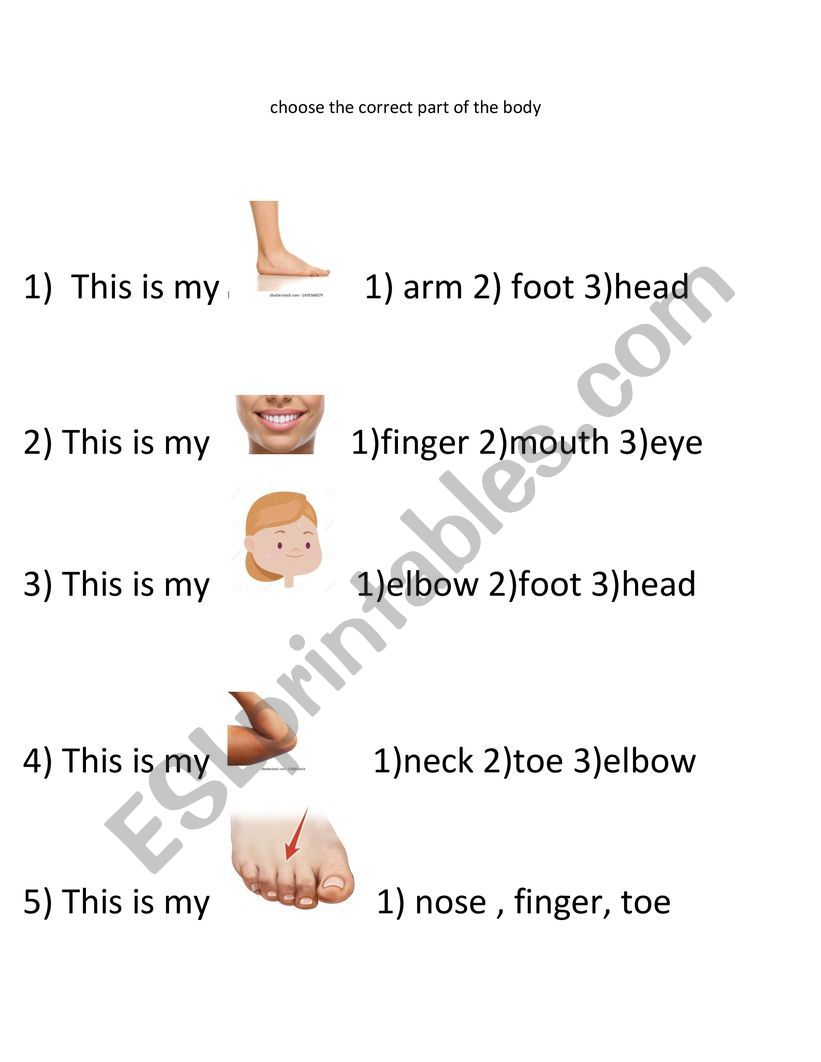 body parts  worksheet