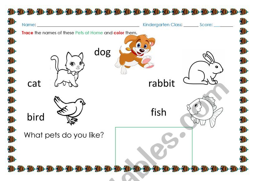 Pets at Home for Kindergarten worksheet