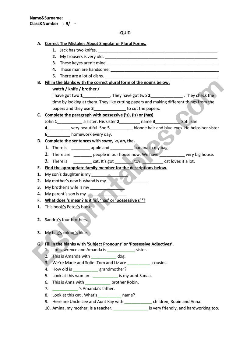 singular plural nouns worksheet