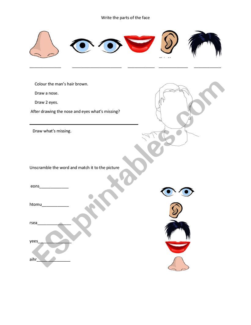 Face worksheet