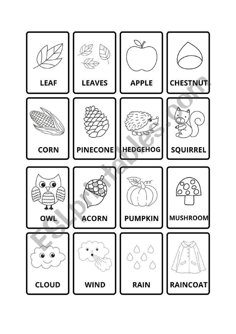 AUTUMN WORDS FLASHCARD worksheet