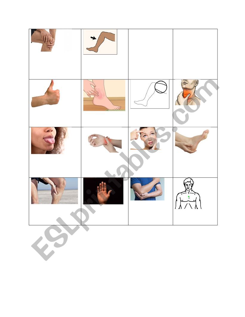 Body parts worksheet