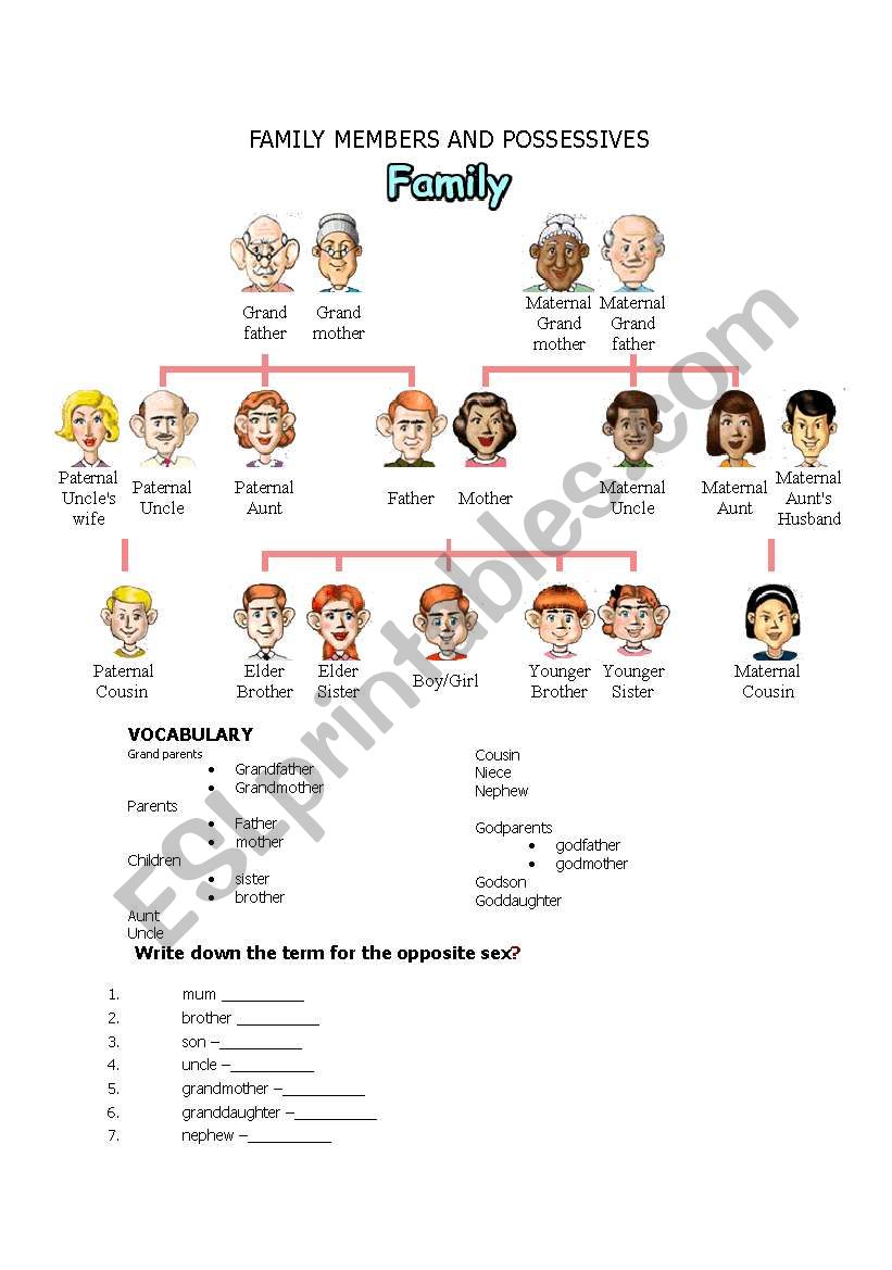 FAMILY MEMBERS AND POSSESSIVES