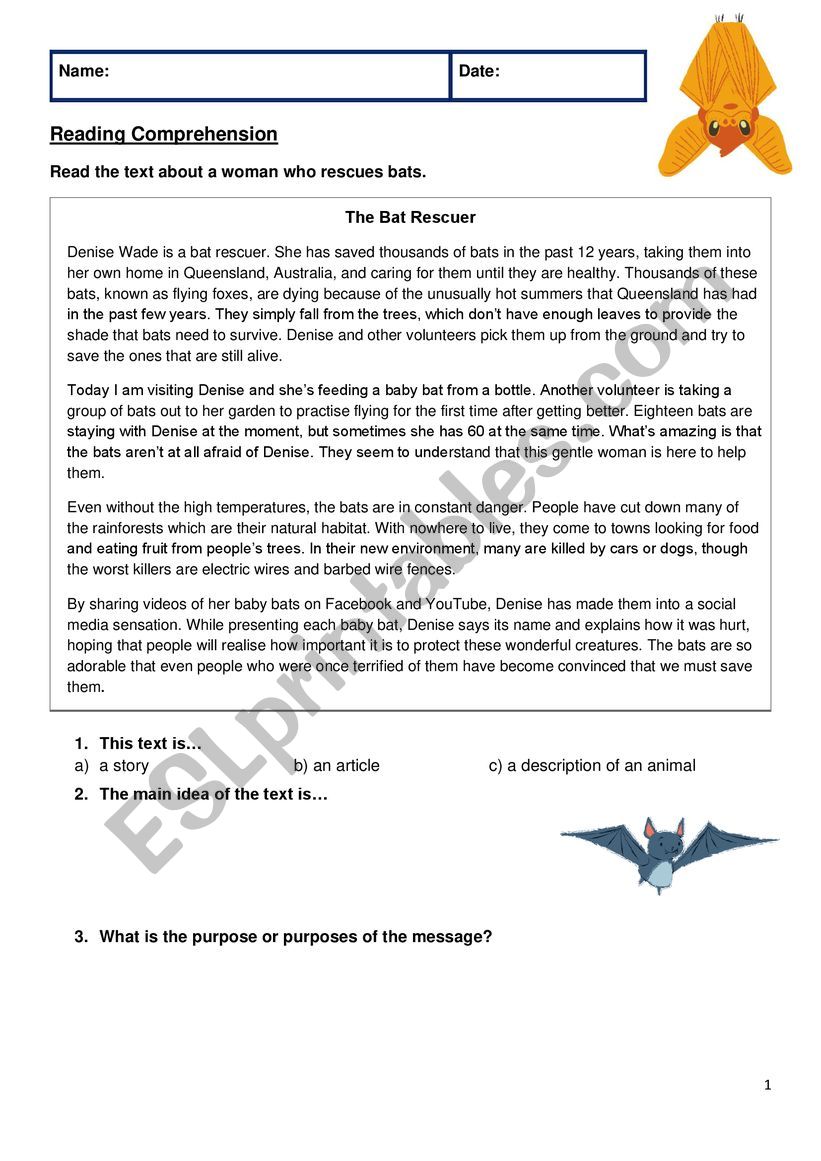 Reading Comprehension Bats worksheet