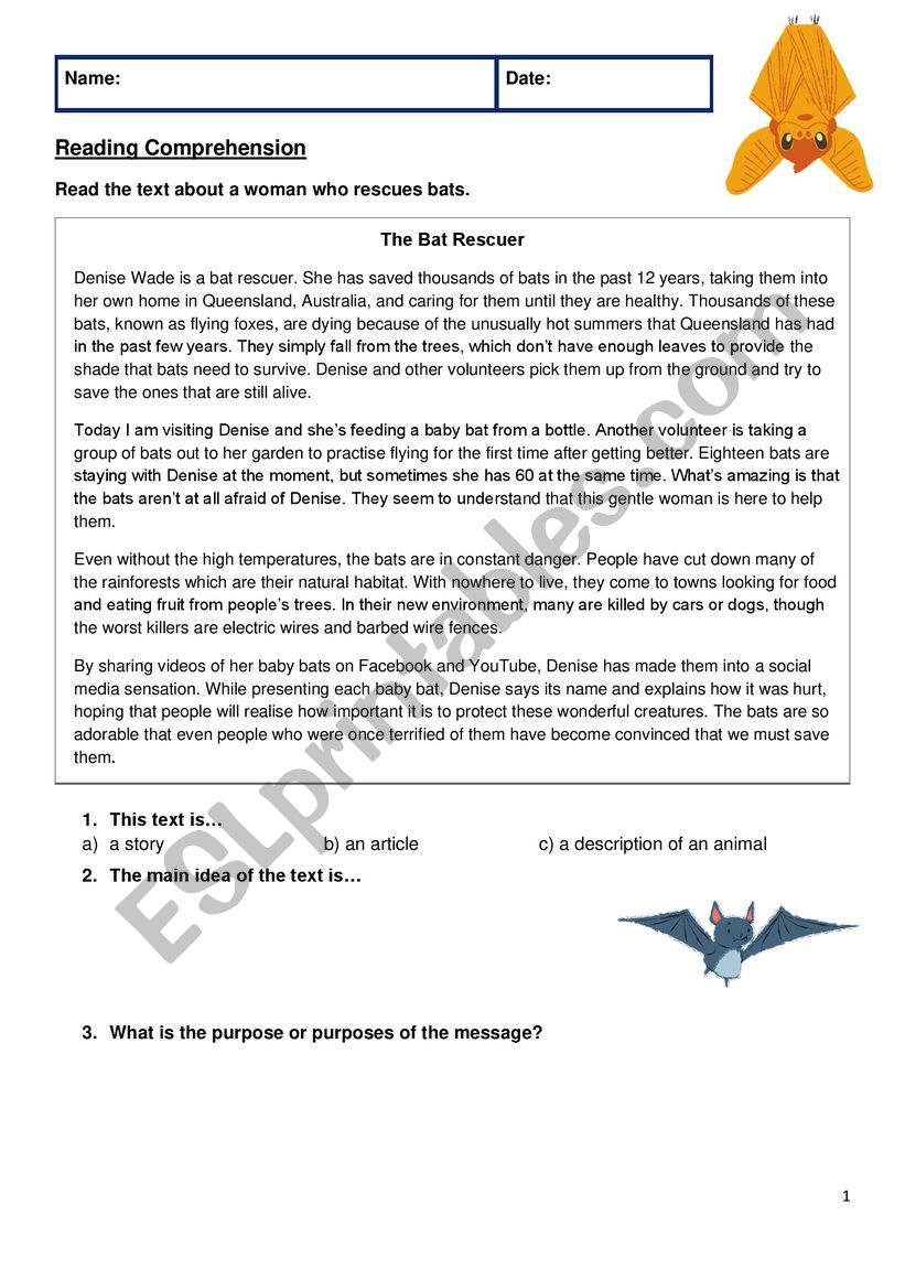 Reading Comprehension Bats worksheet