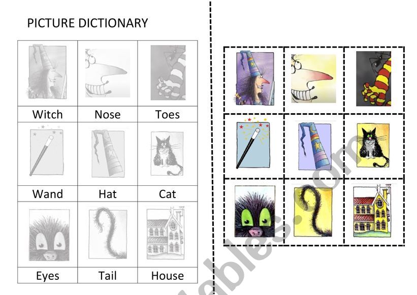 PICTURE DICTIONARY WINNIE THE WITCH