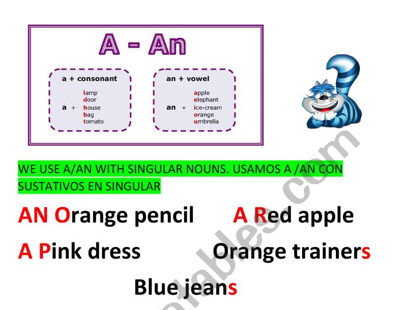 A/ an  worksheet