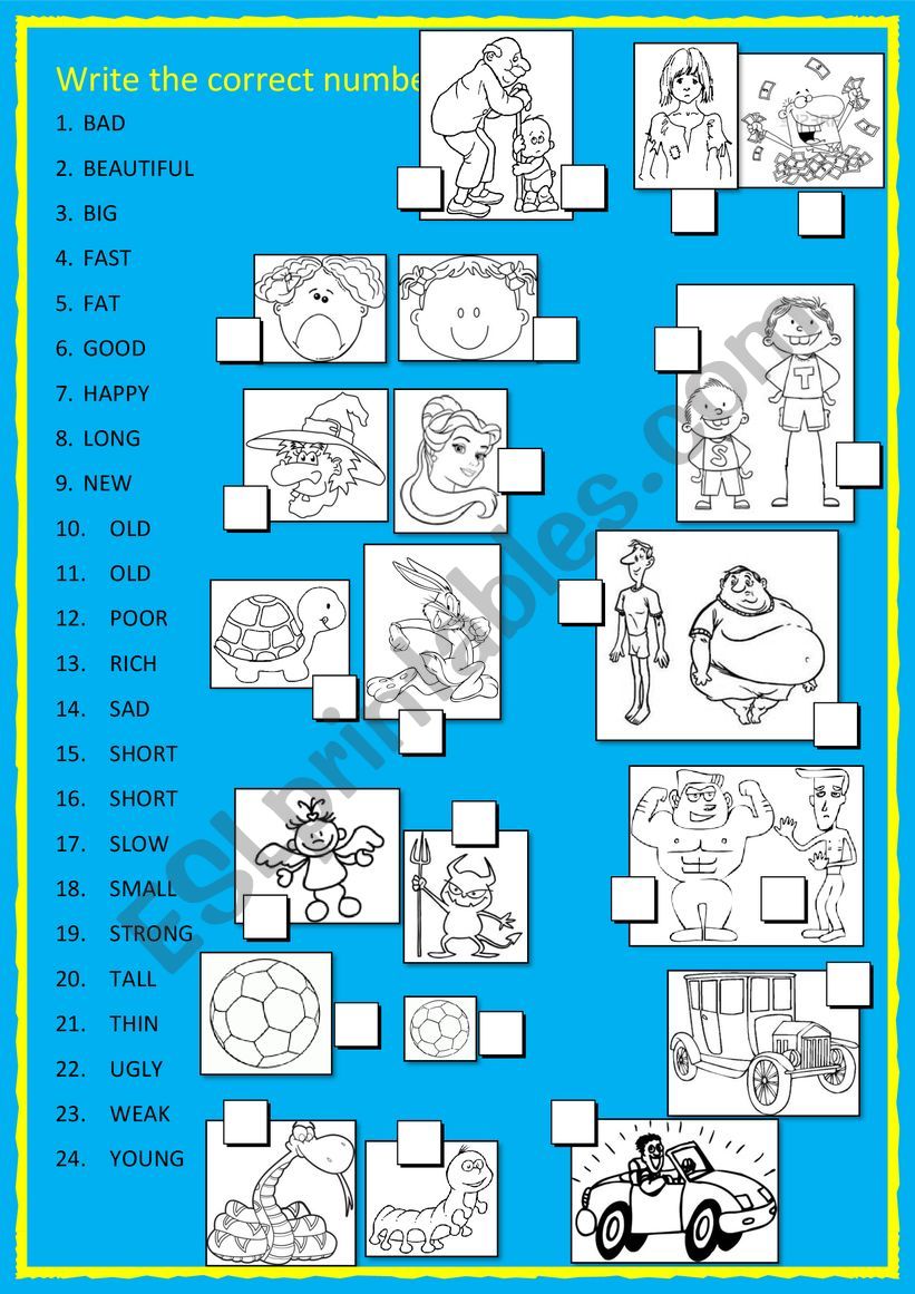 Opposite Adjectives worksheet