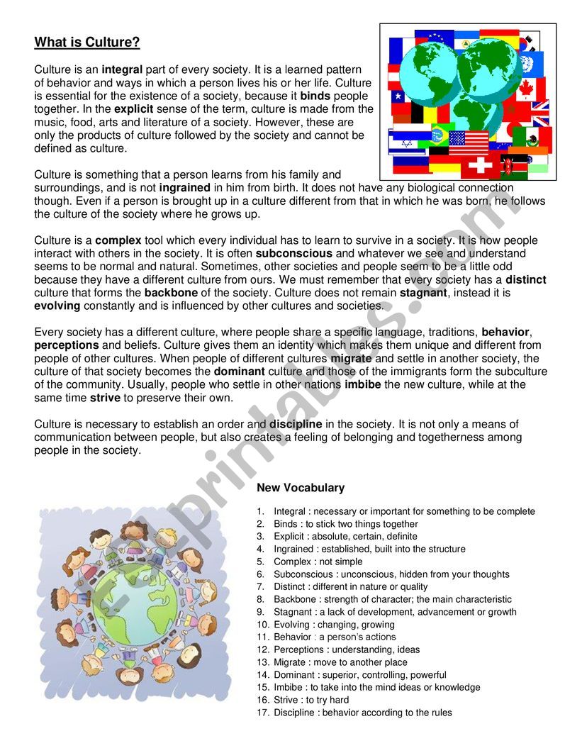what is culture worksheet