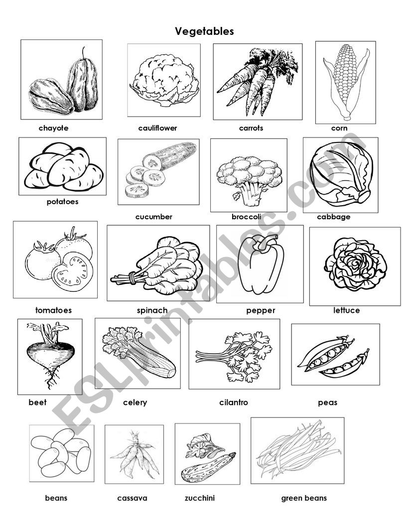 Vegetables with names and pictures 