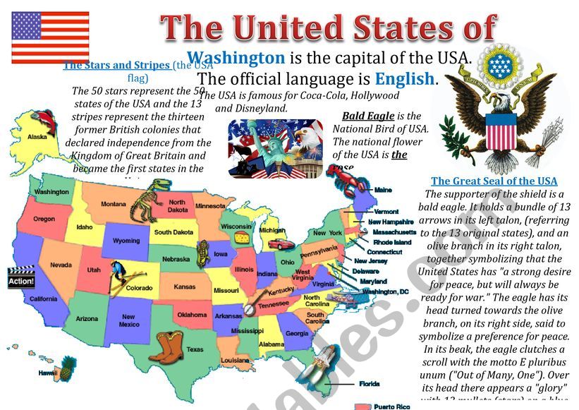 The United States of America worksheet