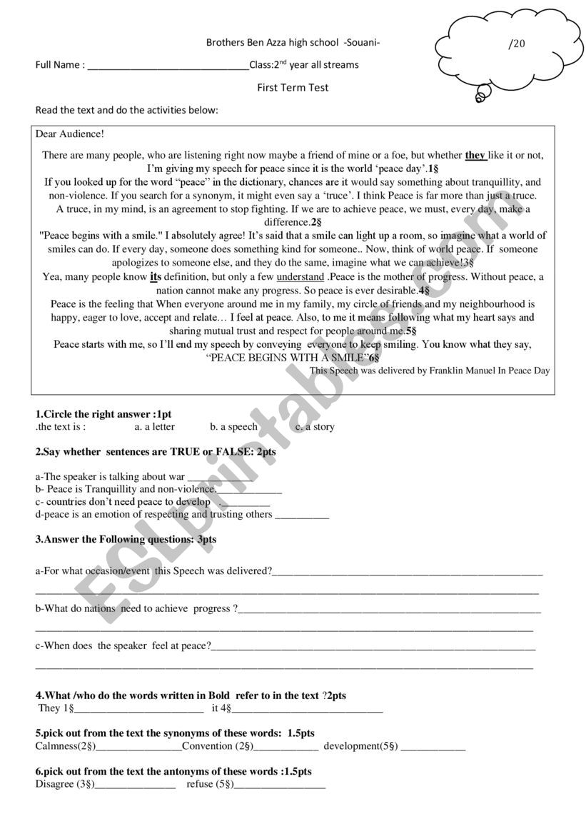 make peace test  worksheet