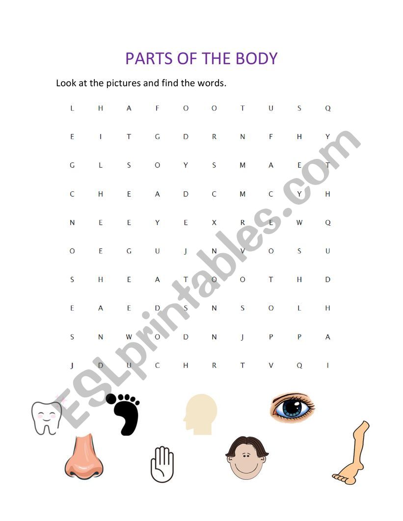 Parts of the body worksheet
