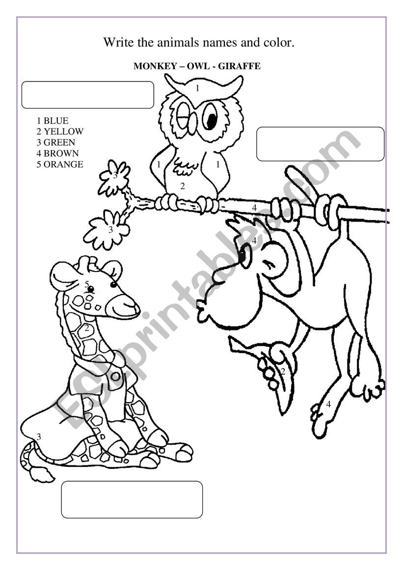 Animals worksheet