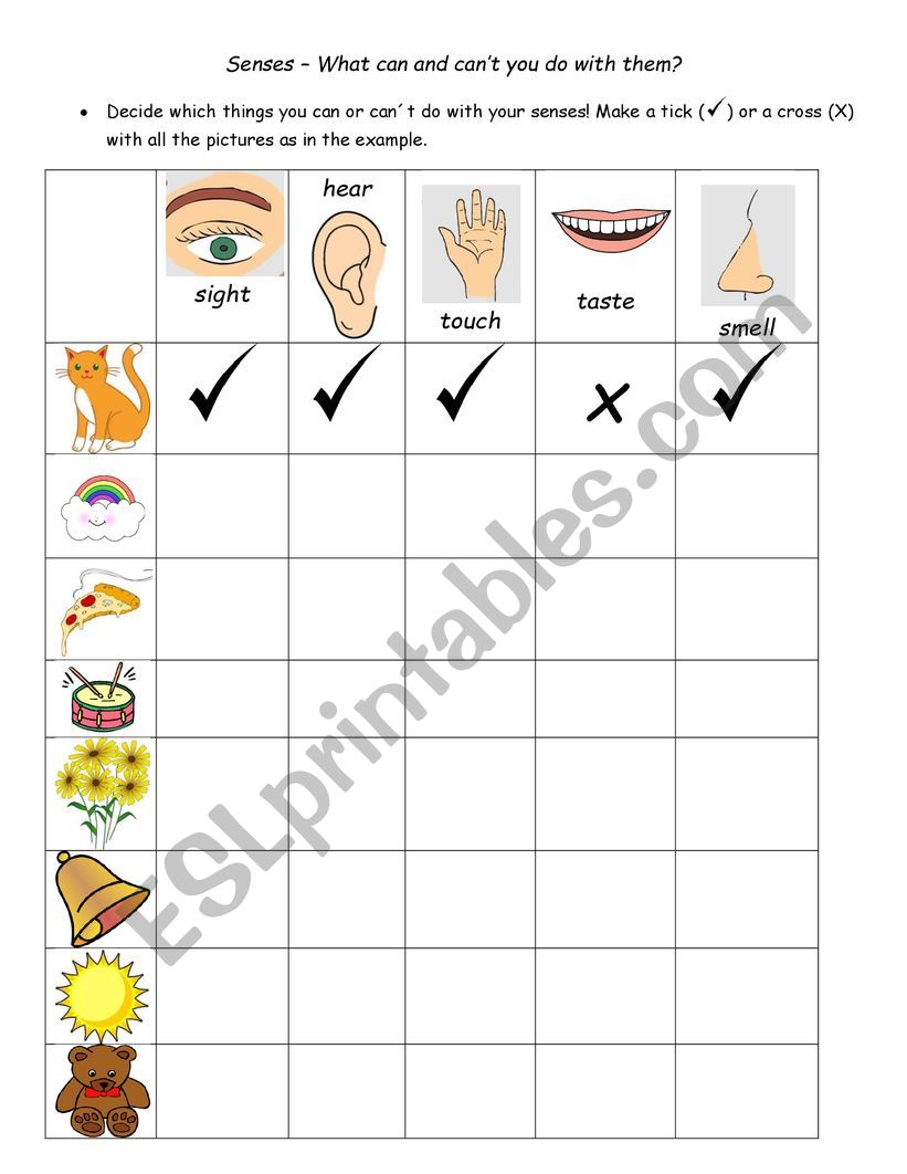 the senses- CAN worksheet