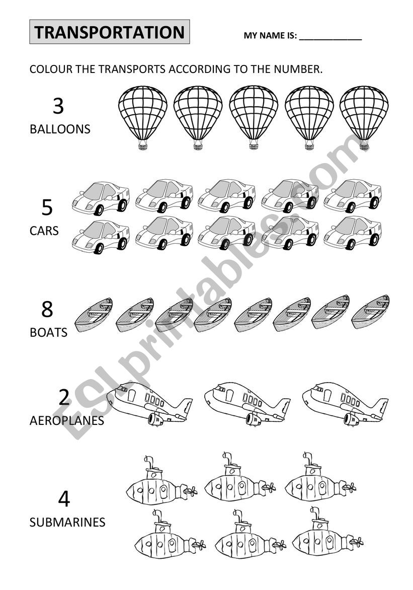 Transportation worksheet