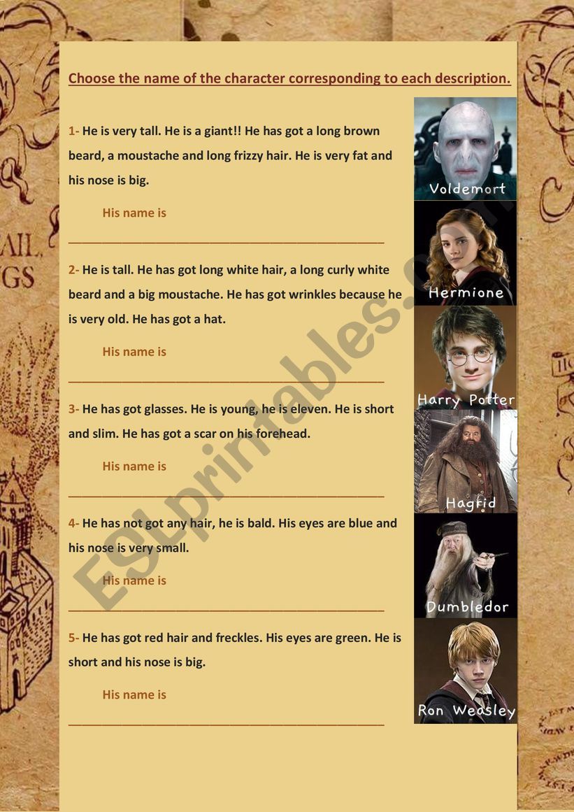 Harry Potter characters description
