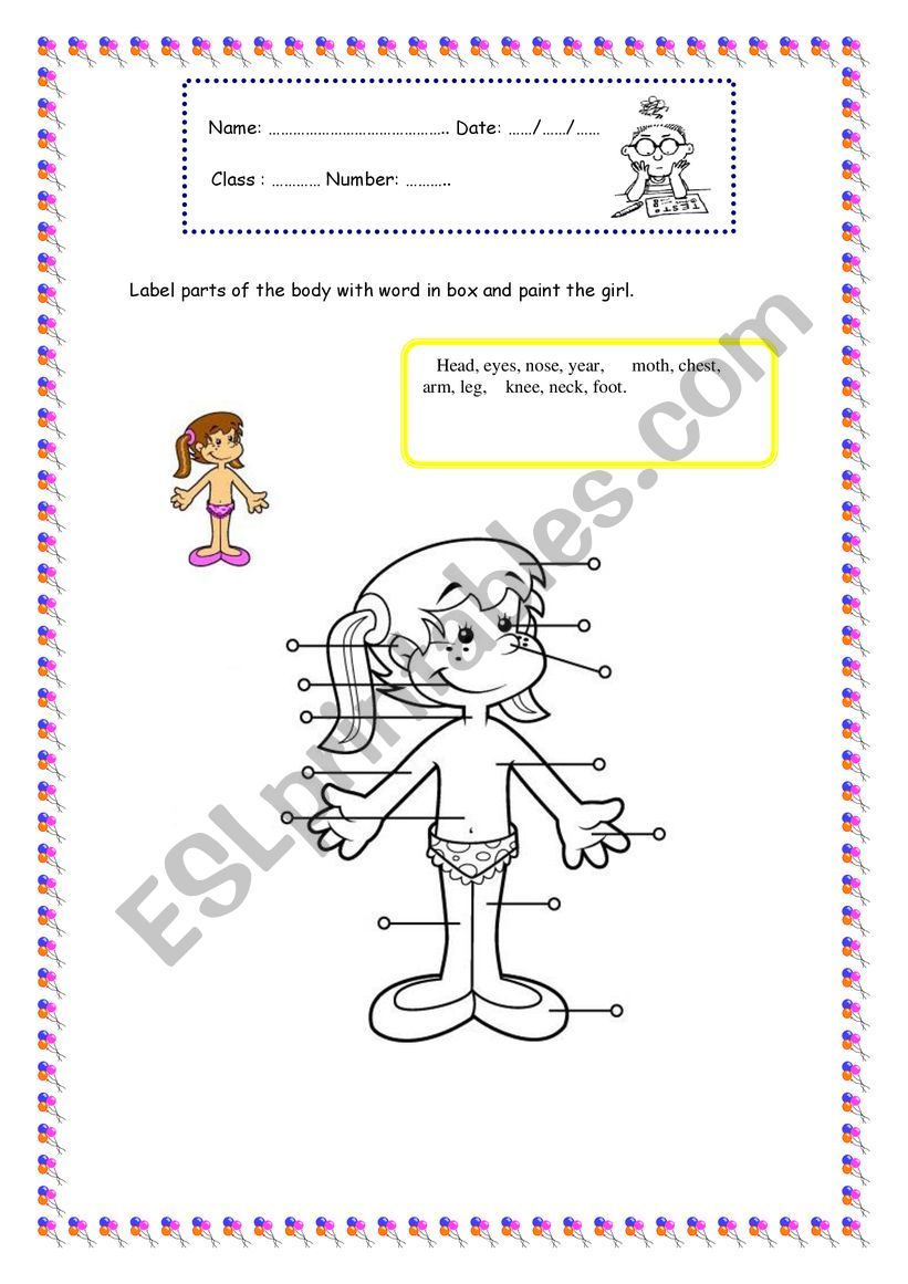 Parts of the body worksheet