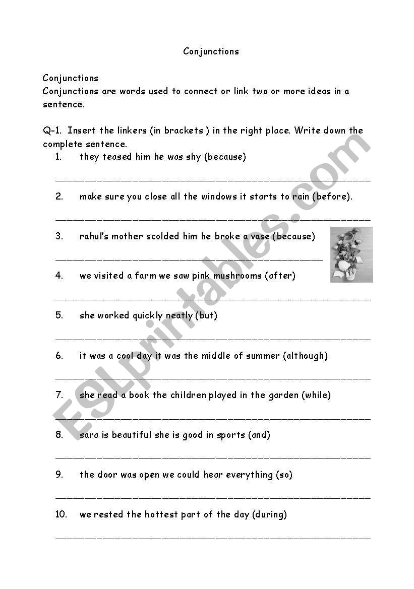 conjunctions worksheet