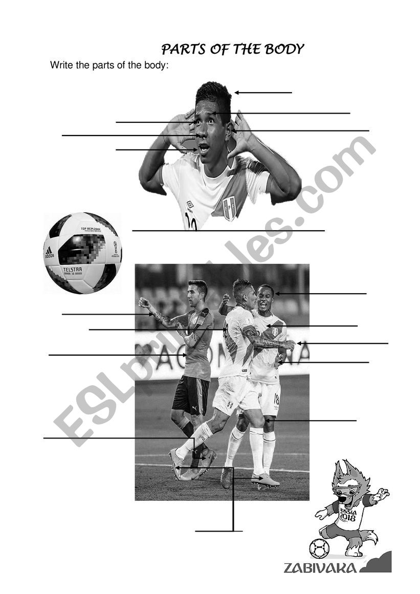 Body parts worksheet