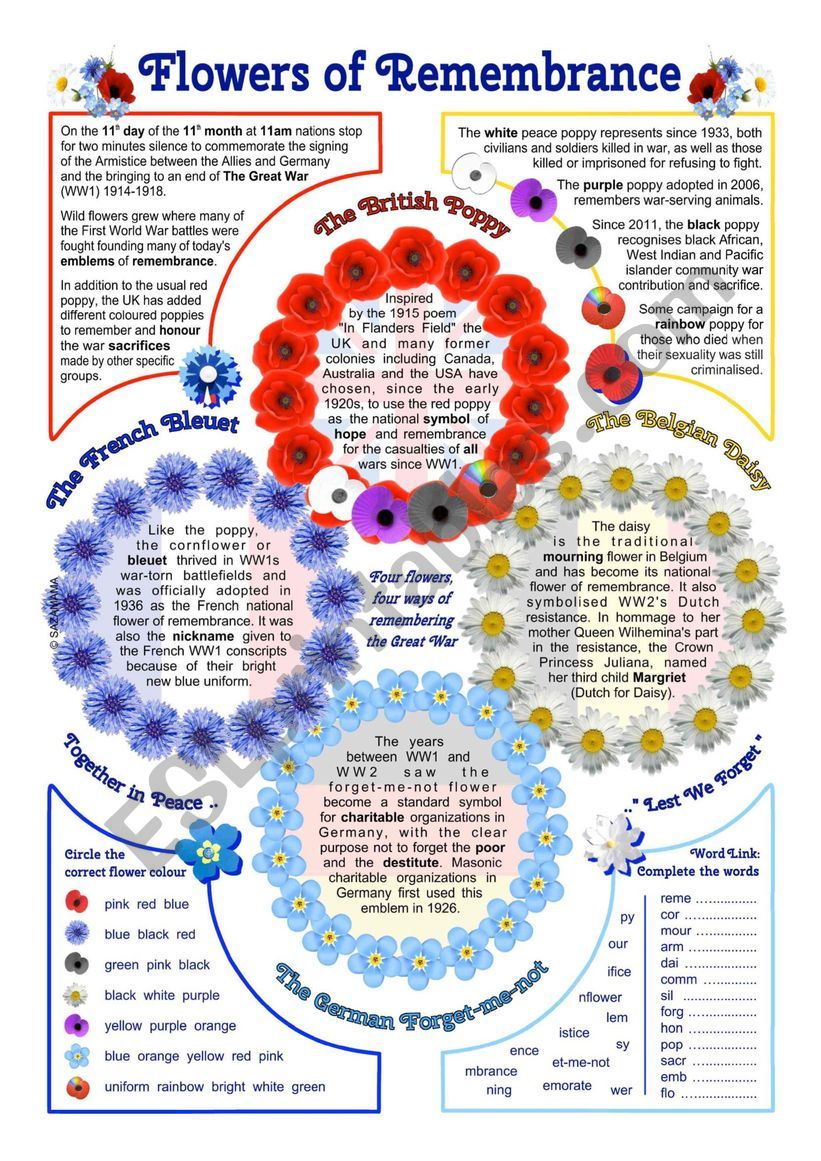Flowers of Remembrance worksheet