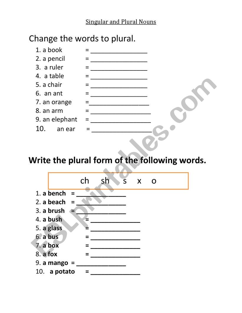 Singular-Plural Nouns worksheet