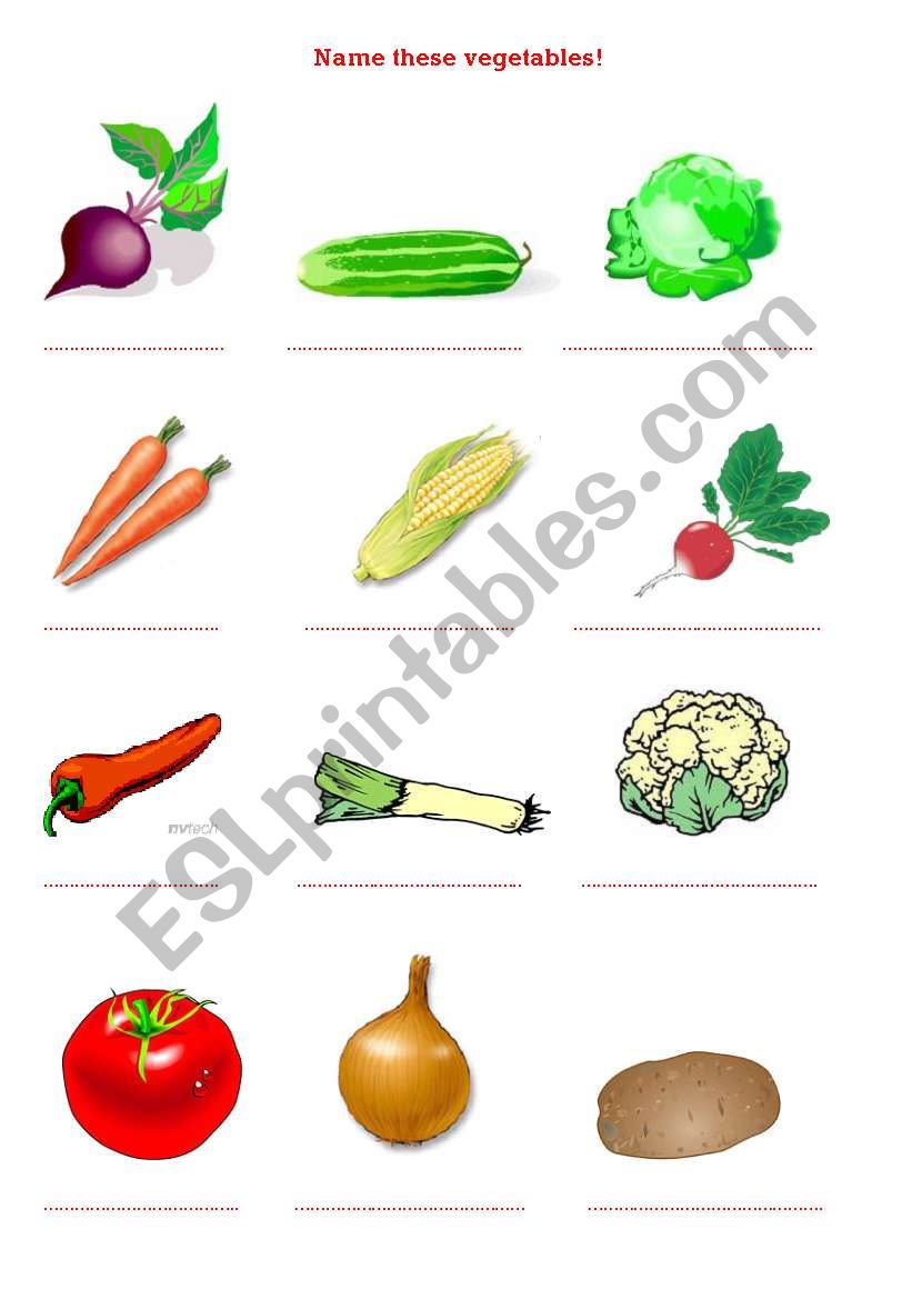 vegetables worksheet