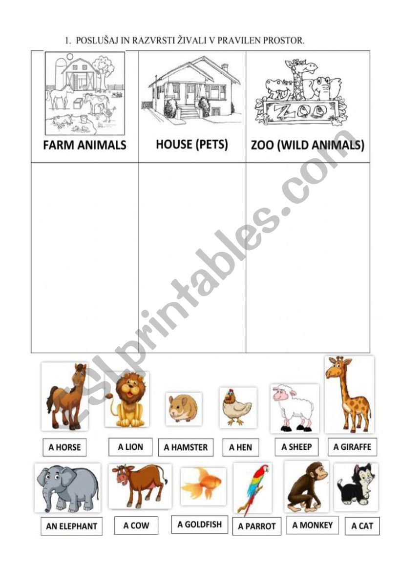 animals worksheet