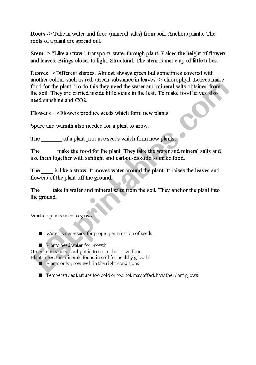 PLANTS worksheet