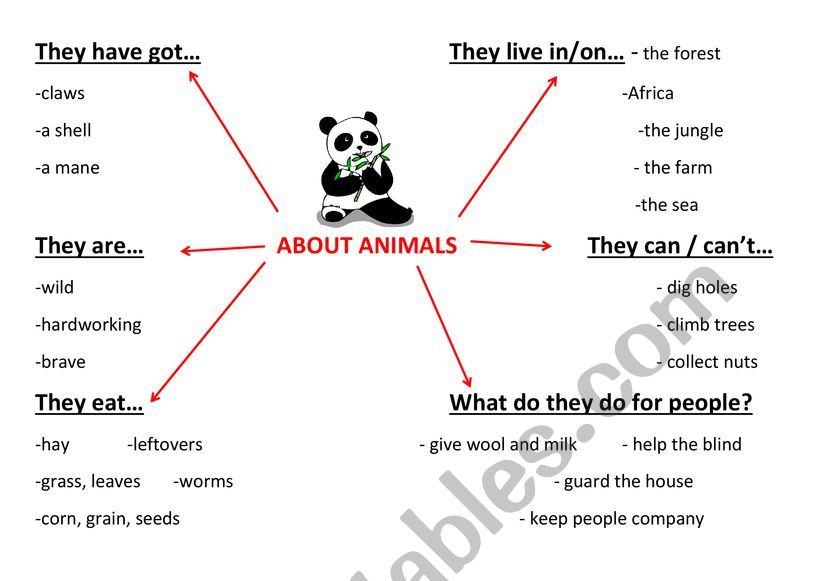 Describing animals - ESL worksheet by ngostic